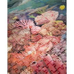 Puzzle Le récif corallien 1000 pièces - Tout autour du monde - Moulin Roty