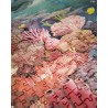Puzzle Korallenriff 1000 Teile - Tout autour du monde - Moulin Roty