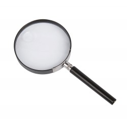 Lupe - Le Jardin de Moulin - Moulin Roy