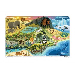 Placemats Where animals live