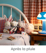 Après_2.png